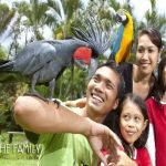 SPECIAL OFFER 2020! Entrance Ticket Bali Bird Park, Get The Tickets Now Only Rp 45,000 Per Pax!!