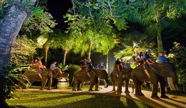 Great Deal!! Enjoy and Get The Deal For Jungle Bunggies - 2 Laps, Night Safari Ride + Dinner by Mason Jungle Buggies Bali